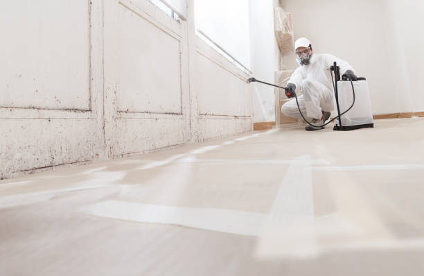 24/7 Emergency Attic Mold Removal experts in Morganville, NJ